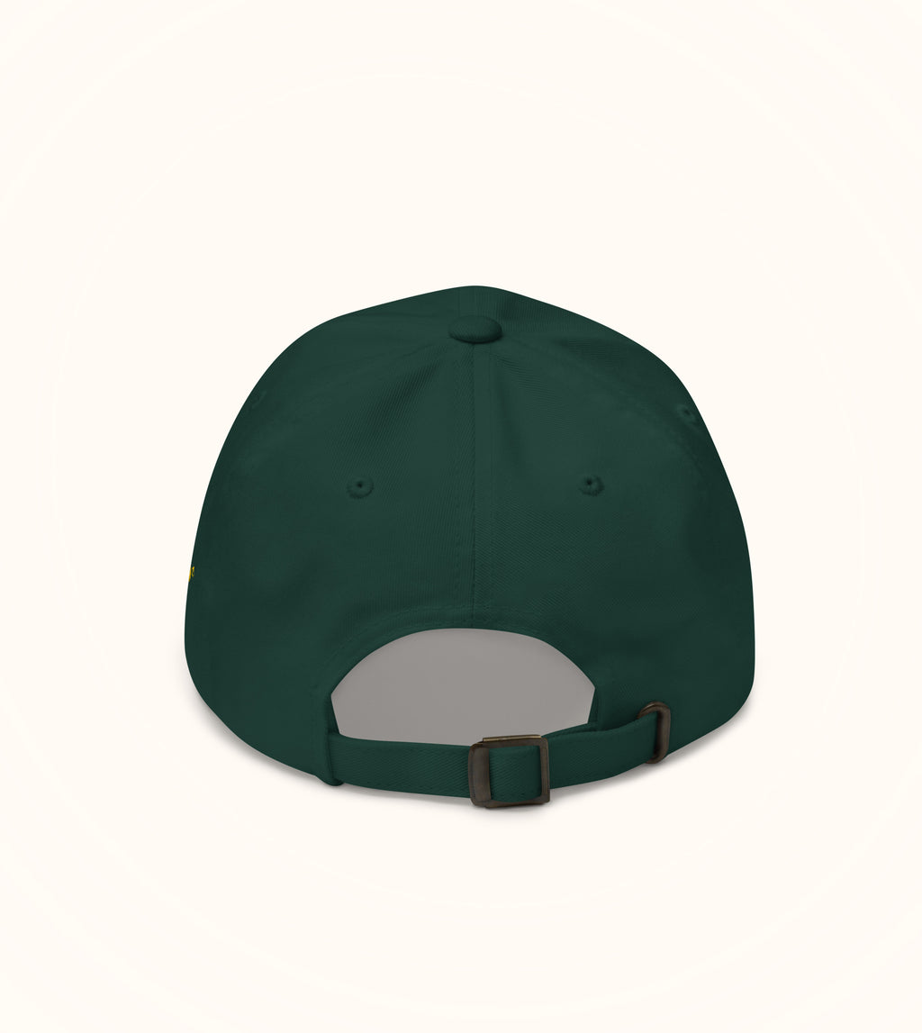 Birdflip® electronic cash hat