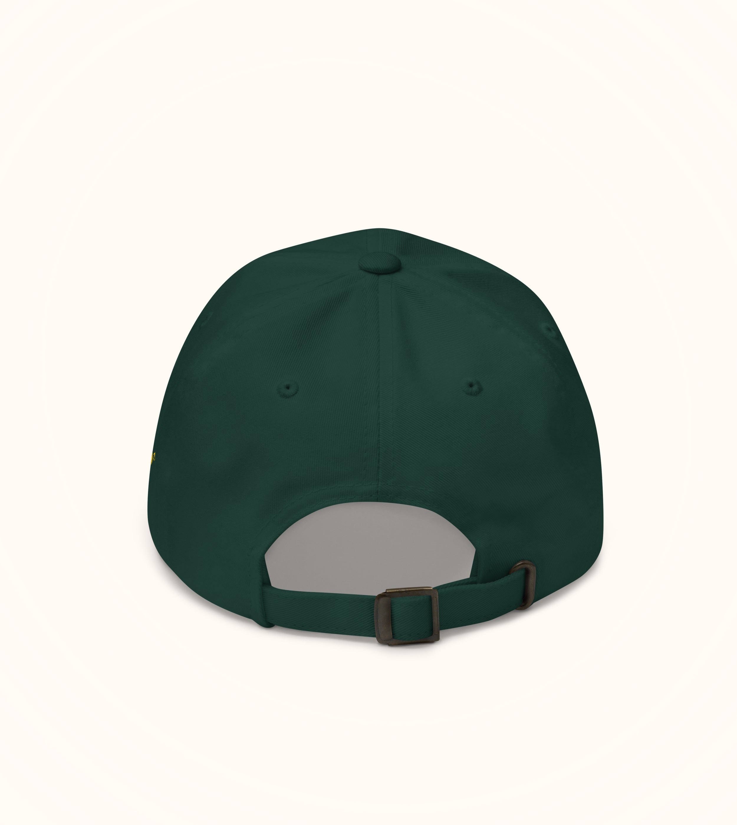 Birdflip® electronic cash hat