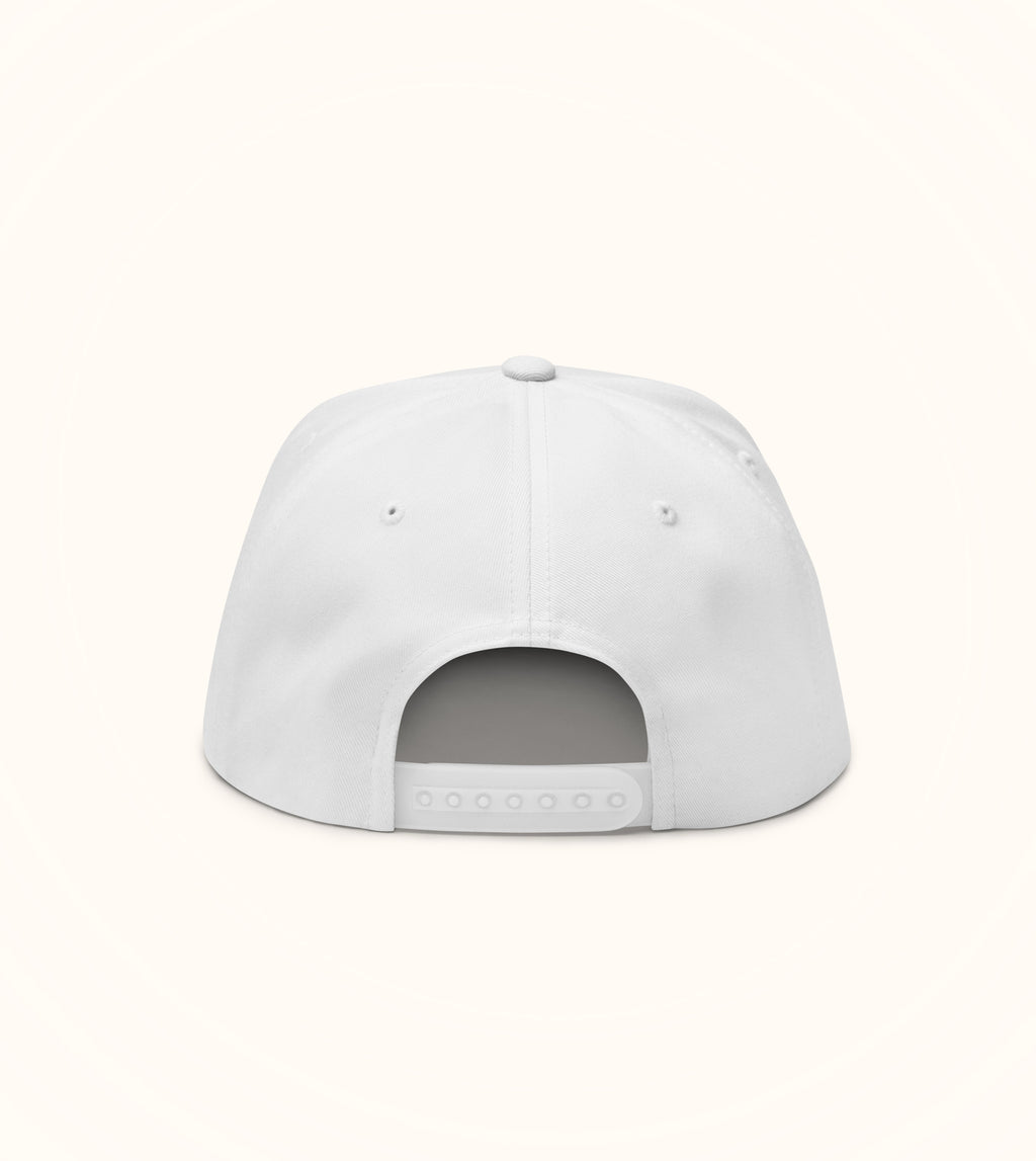 Birdflip® Having fun staying poor snapback hat
