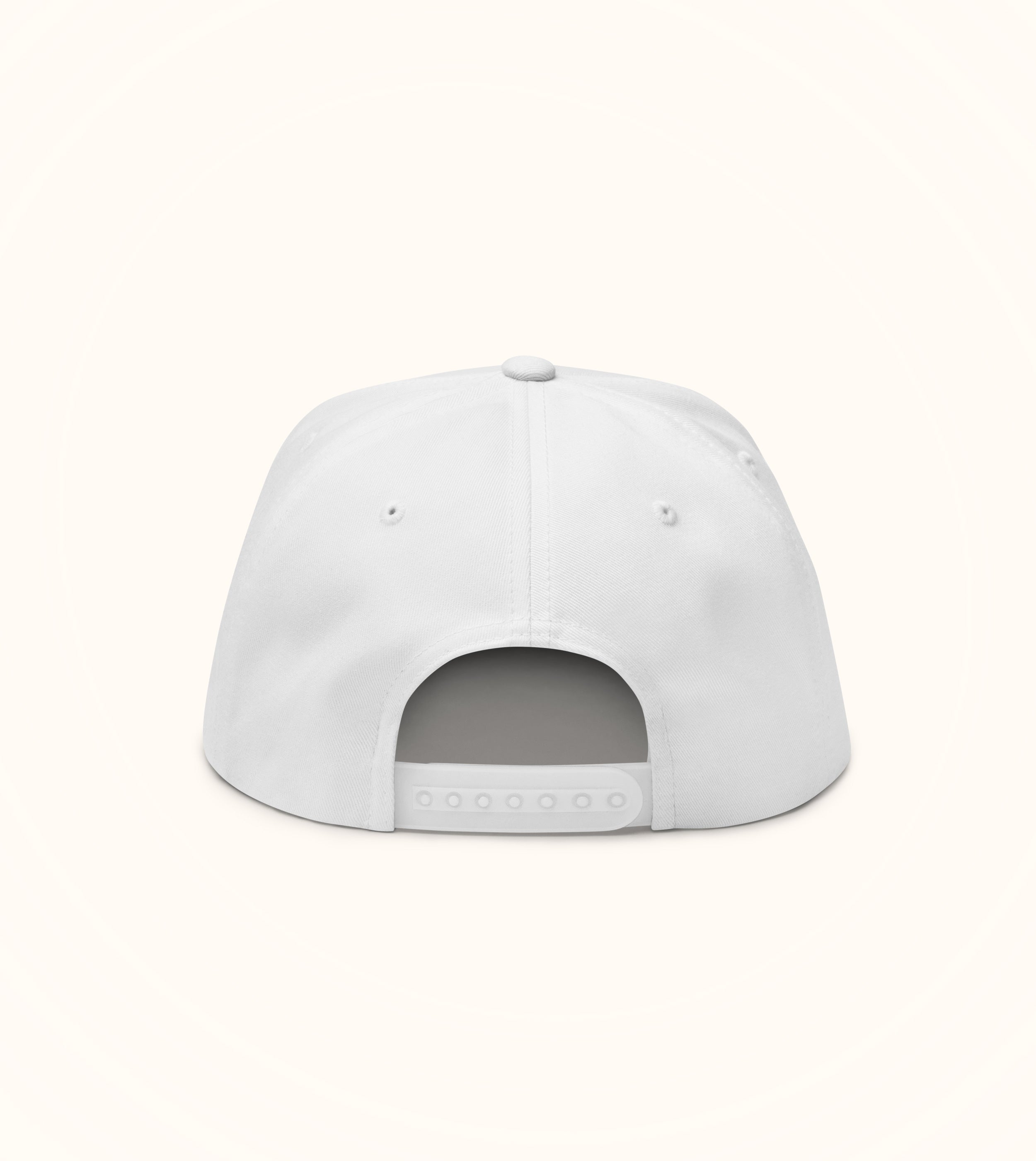 Birdflip® Having fun staying poor snapback hat