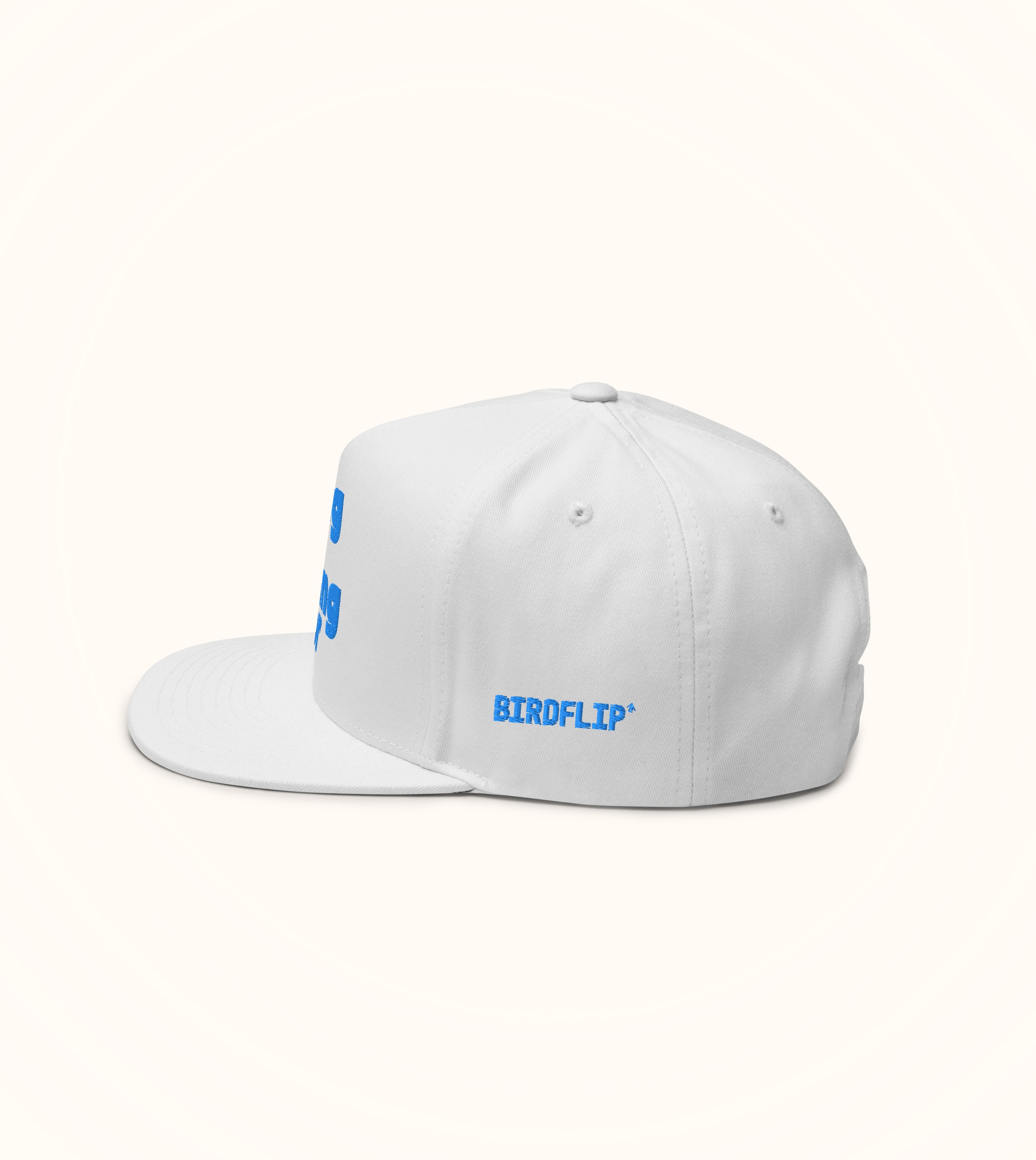 Birdflip® Having fun staying poor snapback hat