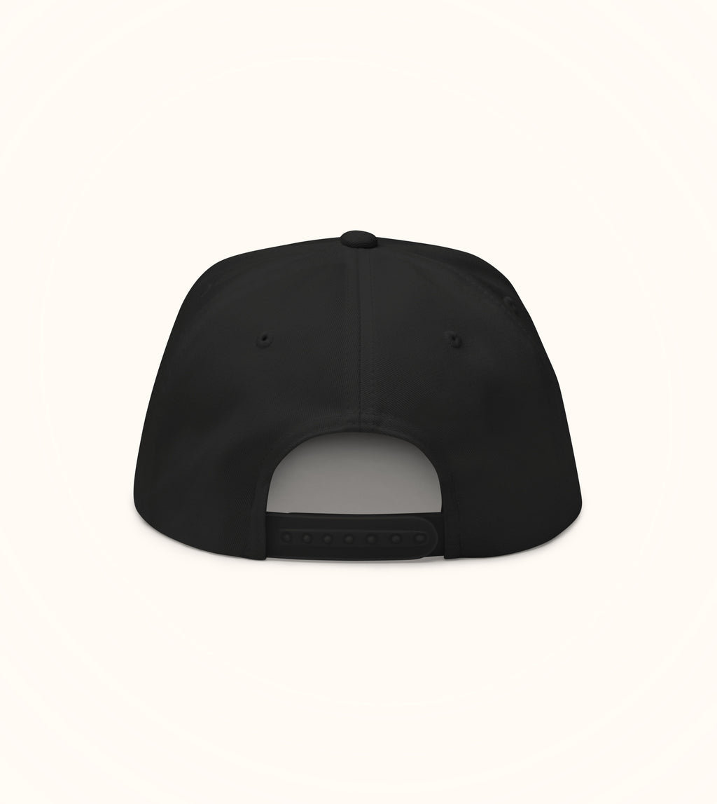 Birdflip® NOSTR flat bill cap