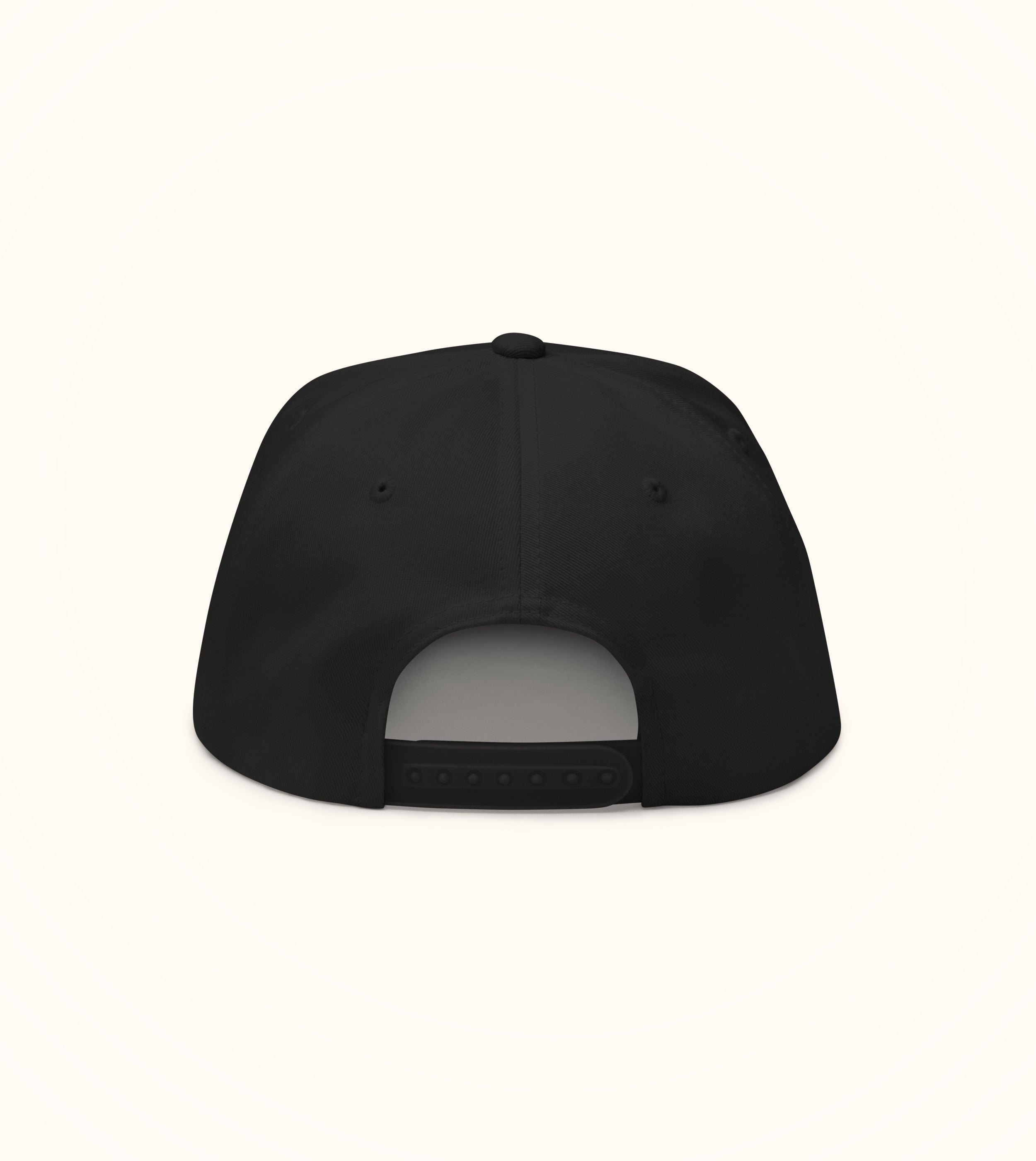 Birdflip® NOSTR flat bill cap